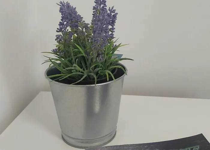 Apartment Comfort Lovely Diva 2, Ciovo, Okrug